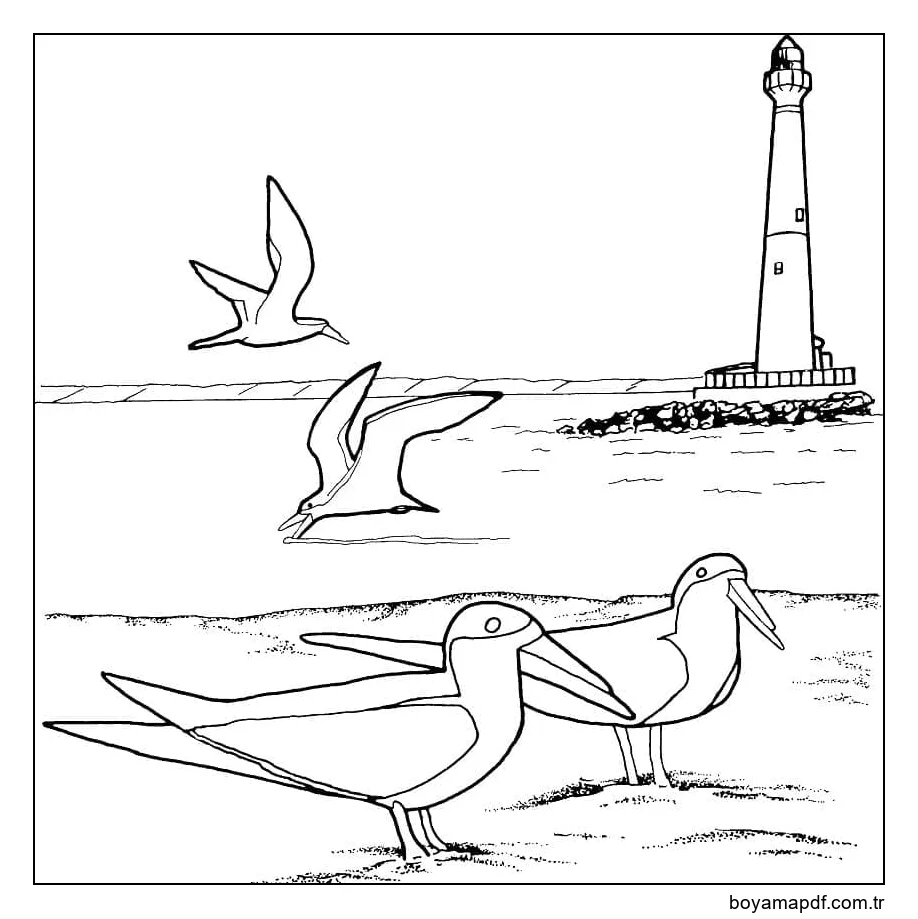Martılar ve Deniz Feneri karakter çizimi