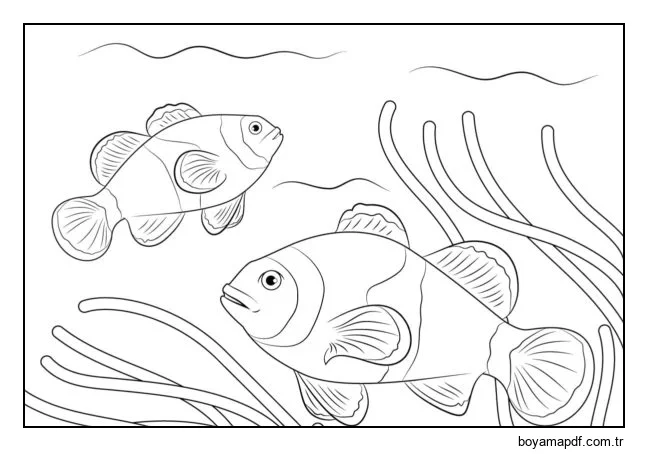 Mercan balığı karakter çizimi