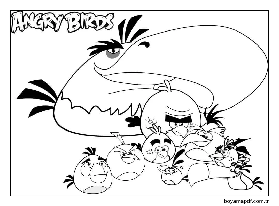 Mükemmel Angry Birds Boyama Sayfası