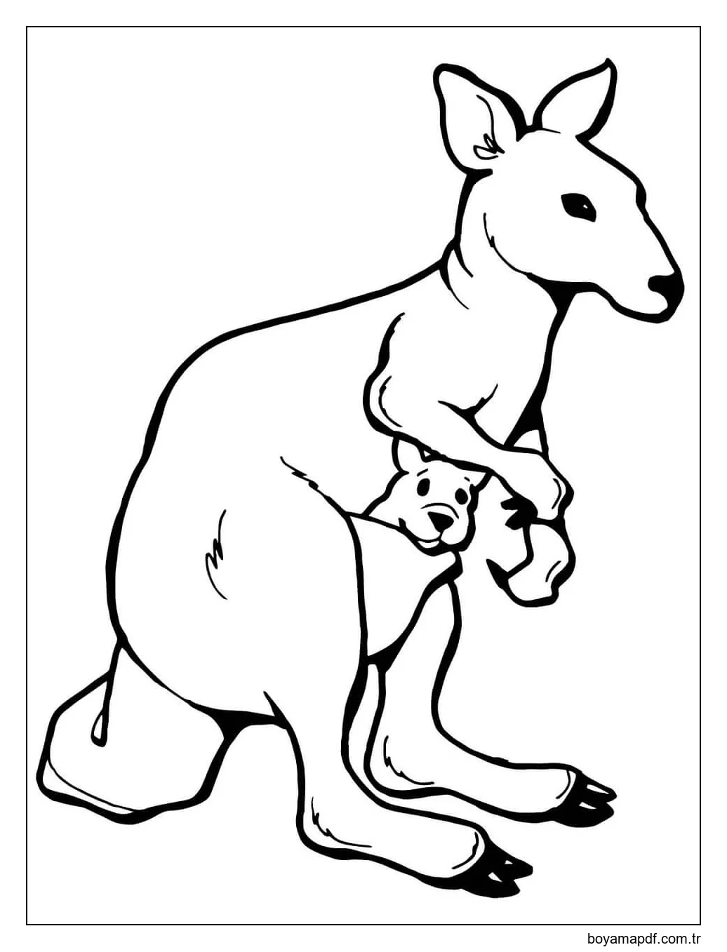 Mükemmel Anne ve Bebek Kanguru karakter çizimi