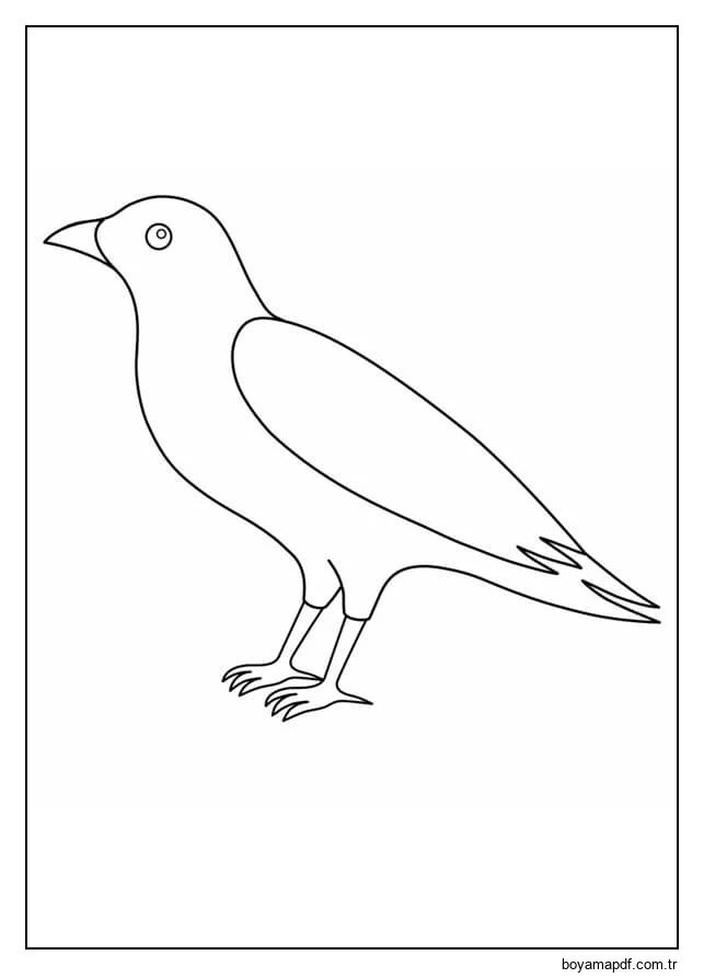 Müthiş Kuzgun Boyama Sayfası