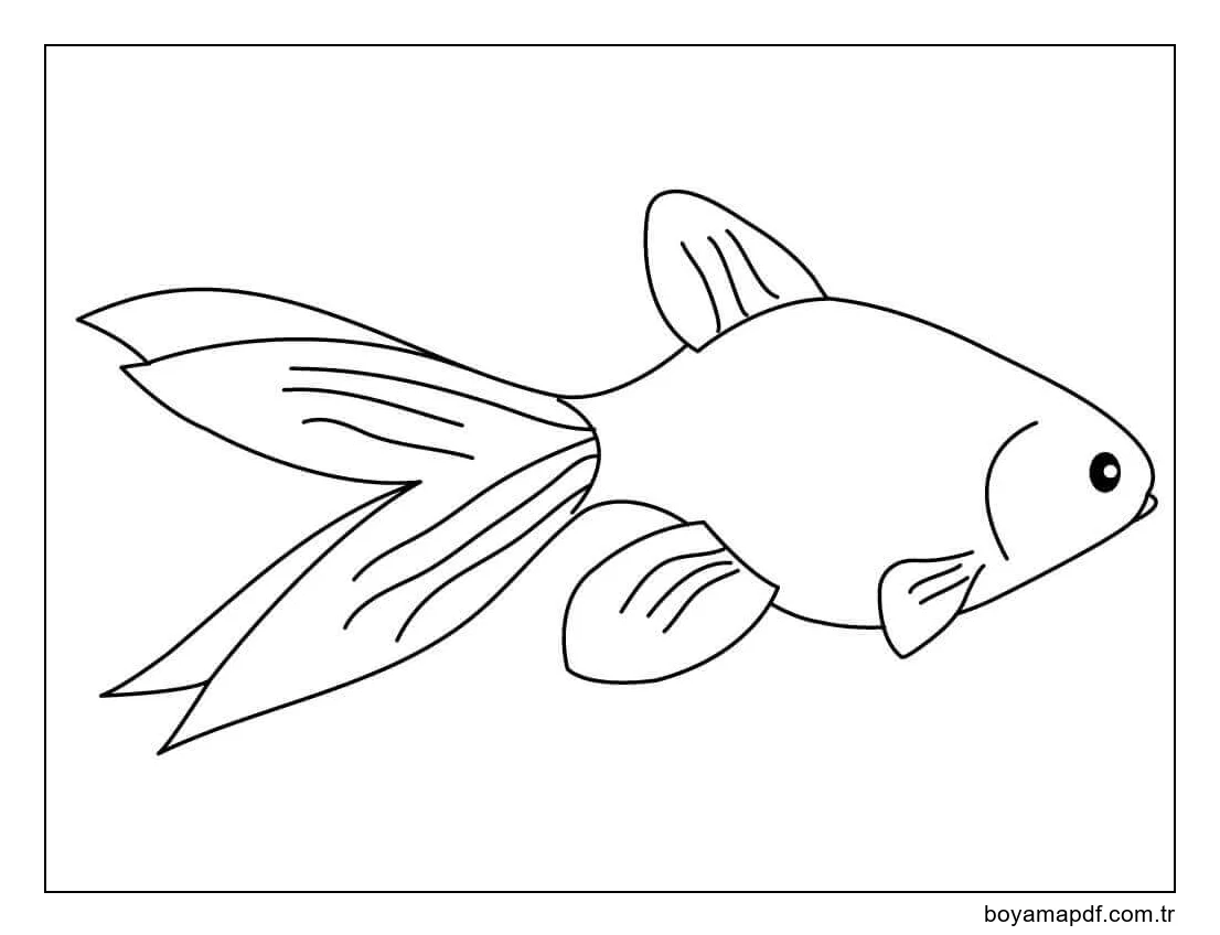 Normal Japon Balığı karakter çizimi