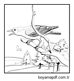 Oldukça Kuzgun Boyama Sayfası