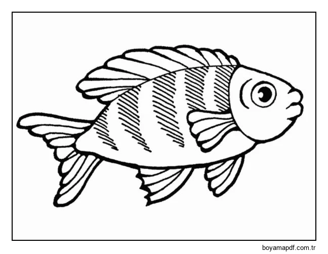 Ortak balık karakter çizimi