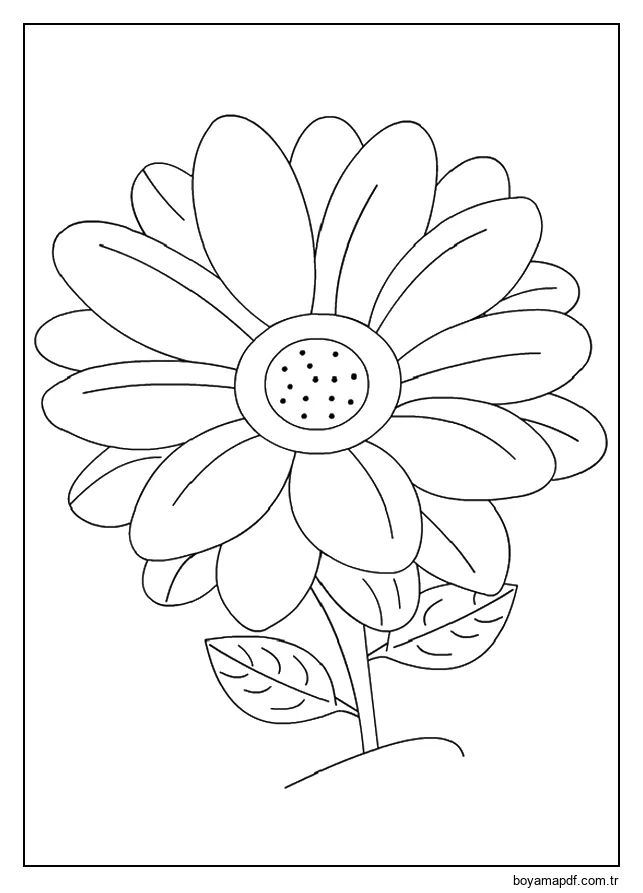 Papatya Çiçeği Boyama Sayfası
