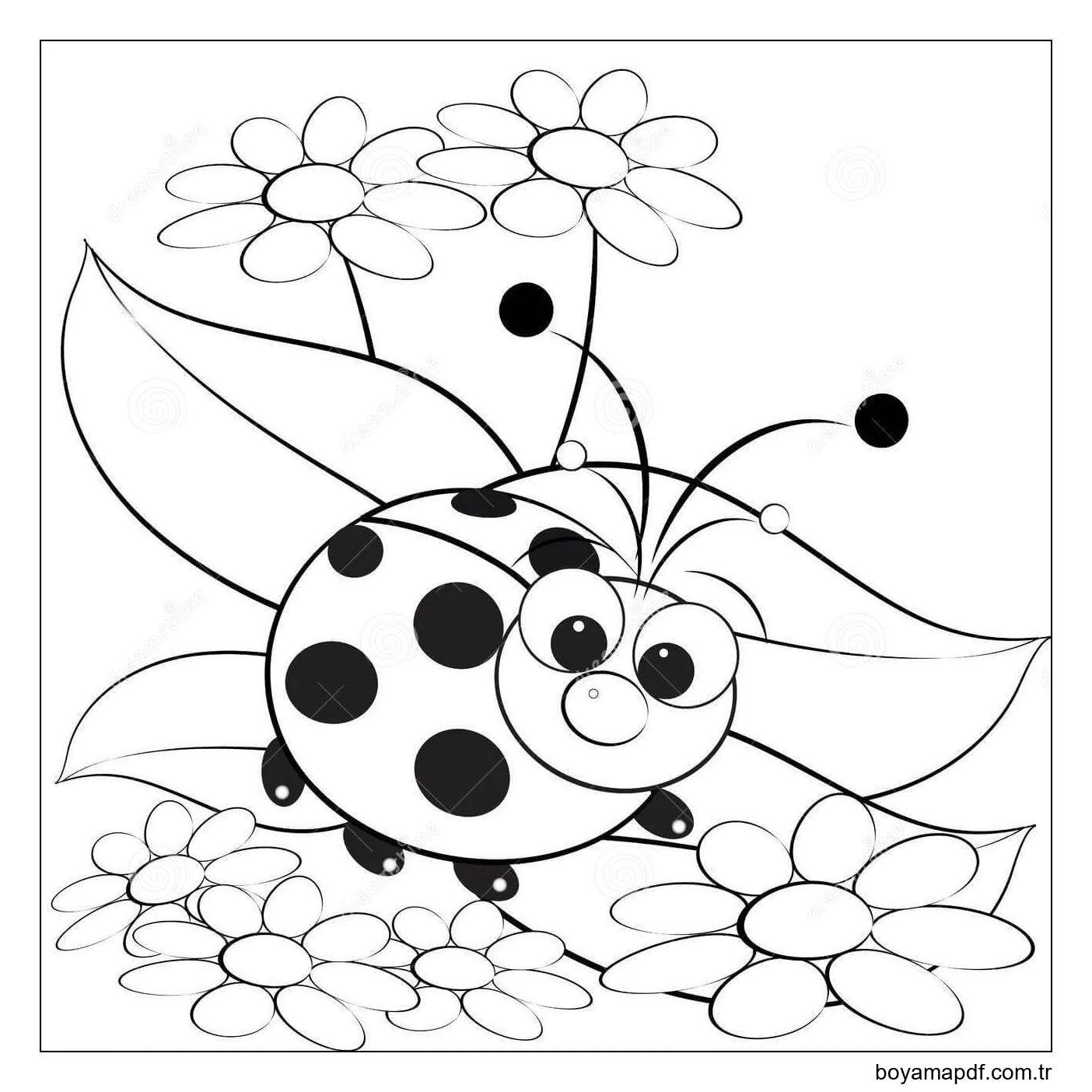 Papatya ve Böcek Boyama Sayfası