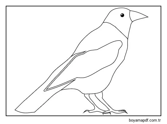 Sade Kuzgun Boyama Sayfası
