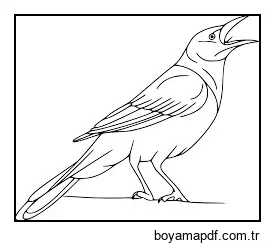 Şarkı Söyleyen Kuzgun Boyama Sayfası