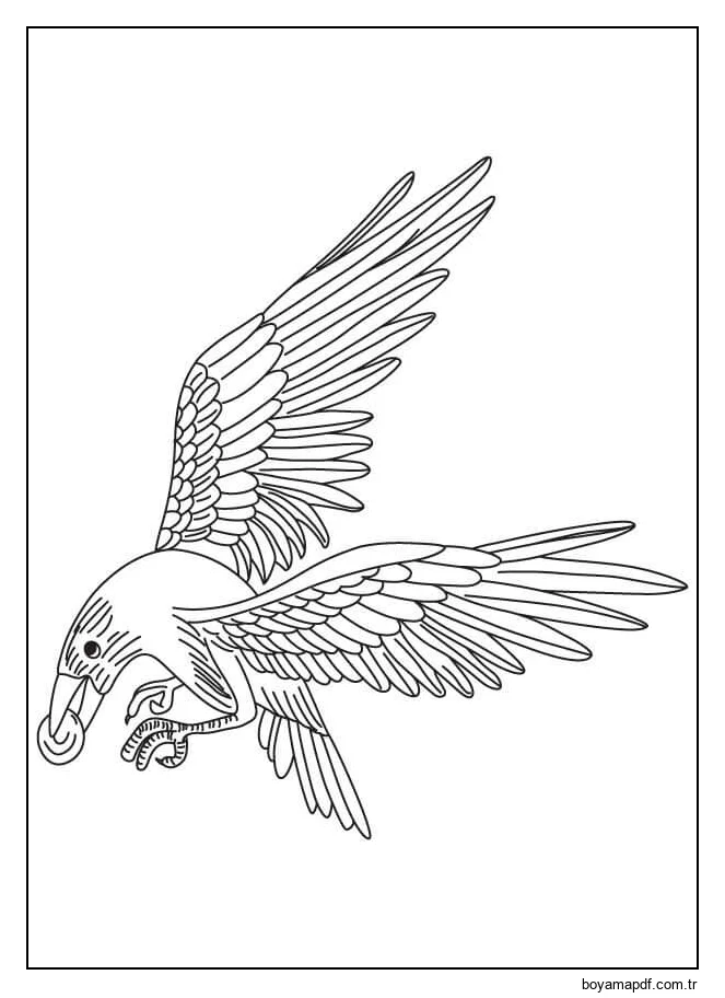 Serin Karga Boyama Sayfası
