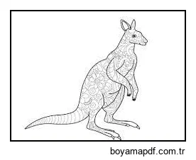 Sert Kanguru karakter çizimi
