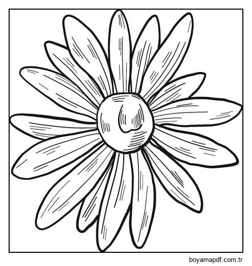 Sevimli Papatya Boyama Sayfası