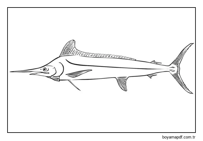 Siyah Marlin karakter çizimi