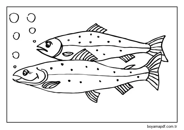 Somon karakter çizimi