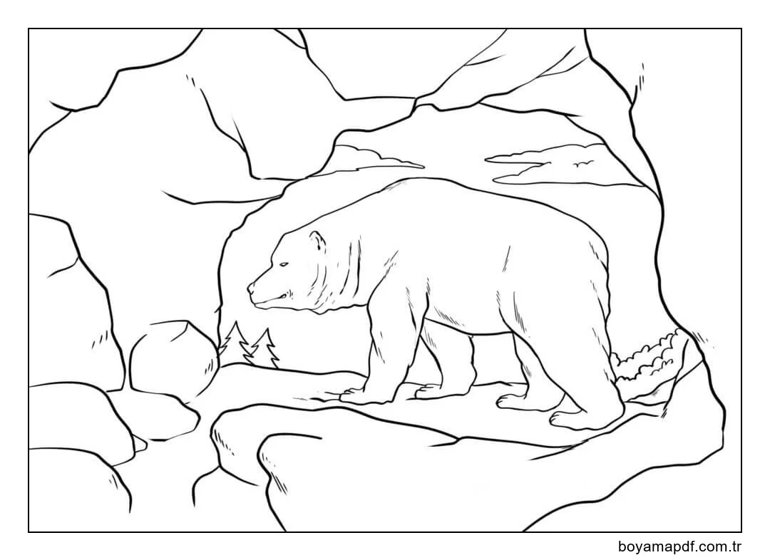 Taş Devri Kutup Ayıları karakter çizimi