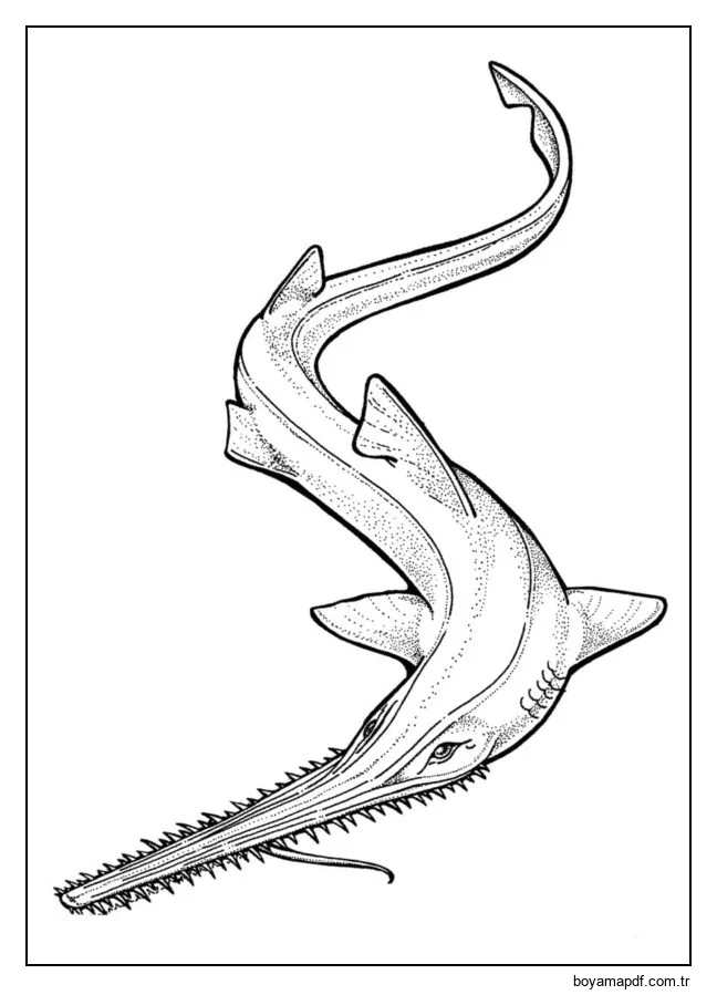 Testere kanatlı ışın karakter çizimi