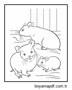 üç Hamster karakter çizimi