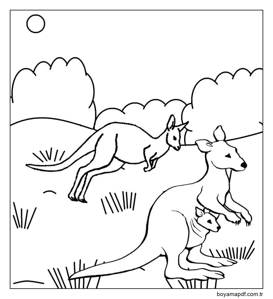 Üç Kanguru karakter çizimi