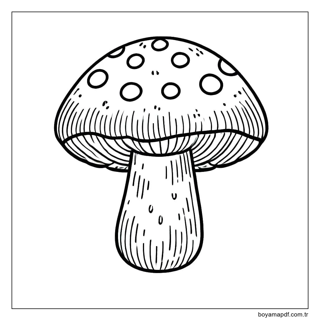 Ücretsiz Mantar Boyama Sayfası