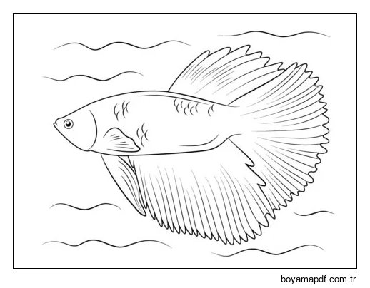 Yarım Ay Betta Balığı karakter çizimi