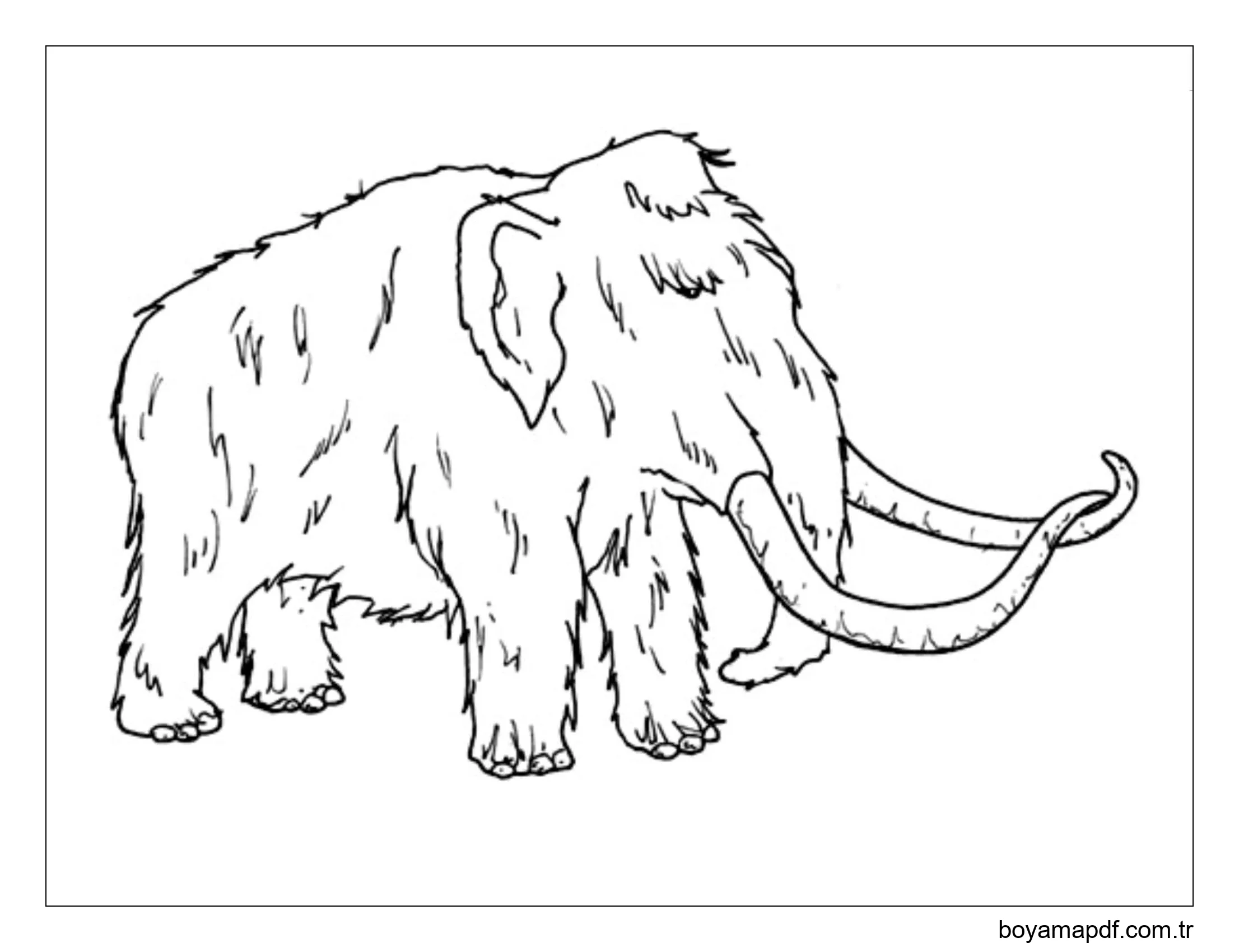 Yaşlı Mamut karakter çizimi