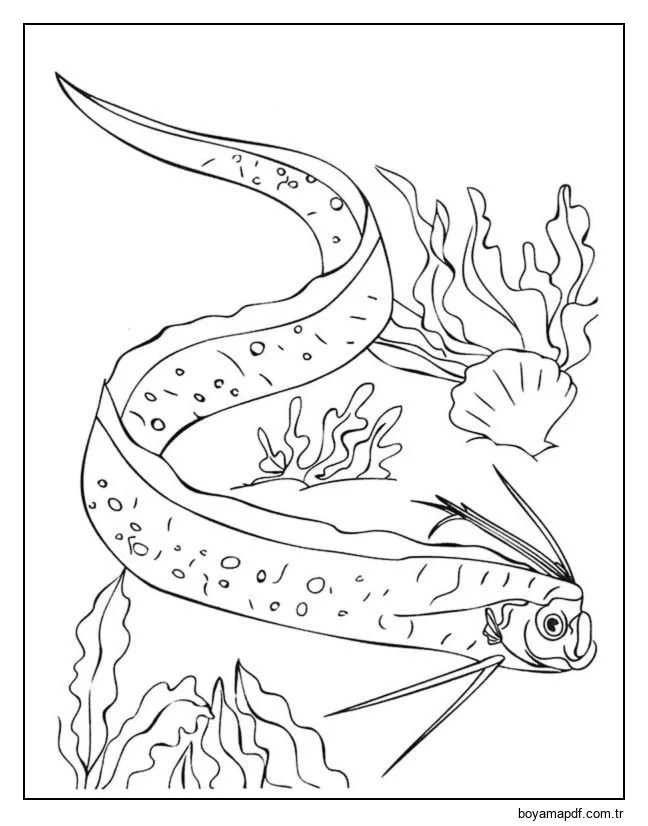 Yılan balığı. karakter çizimi