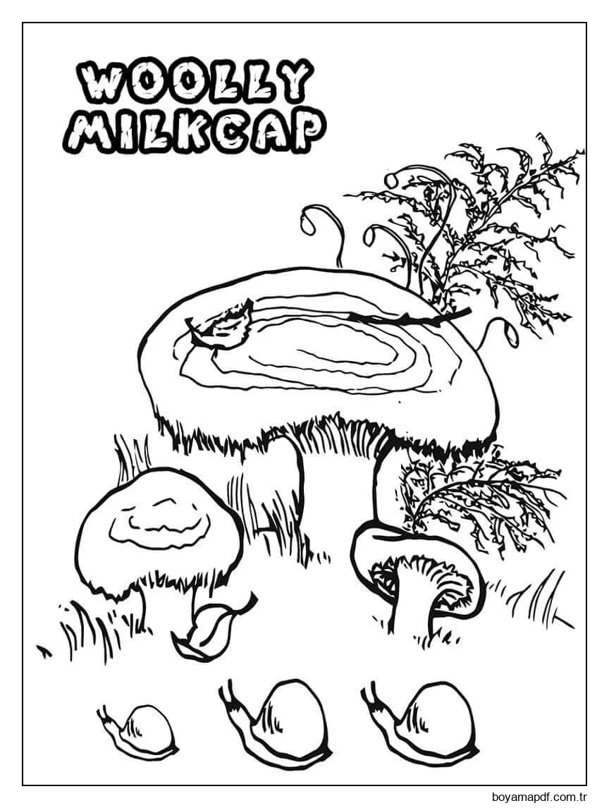 Yünlü Milkcap Mantarları Boyama Sayfası
